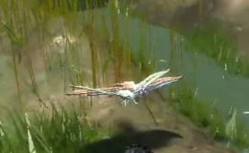 Dragonfly