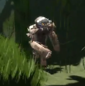 Gorilla