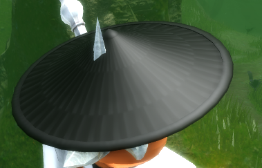 Wide-Brimmed Hat